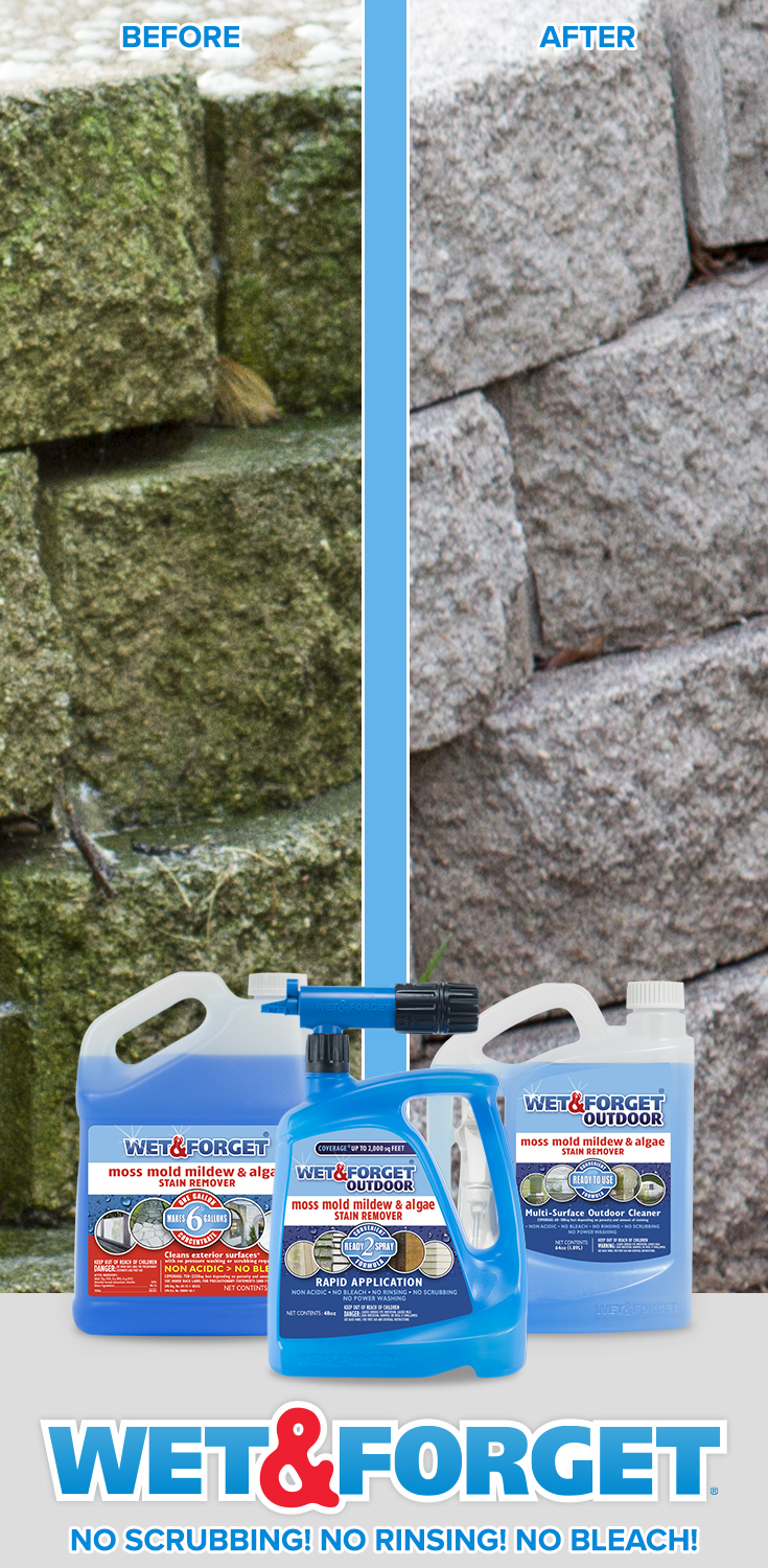 Removing Black & Green Algae Made Easy A HowTo Guide Wet & Blog