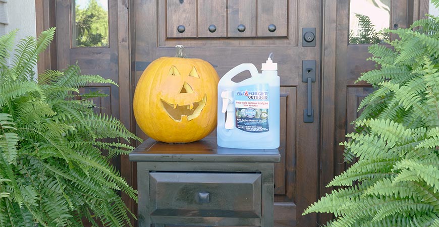 Pumpkin preservation is easy with Wet & Forget