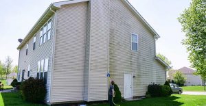 Clean green growth on your vinyl siding