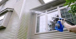 Remove algae on your vinyl siding with Wet & Forget Hose End.