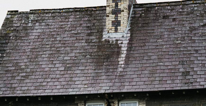 Get rid of black streaks on your roof.