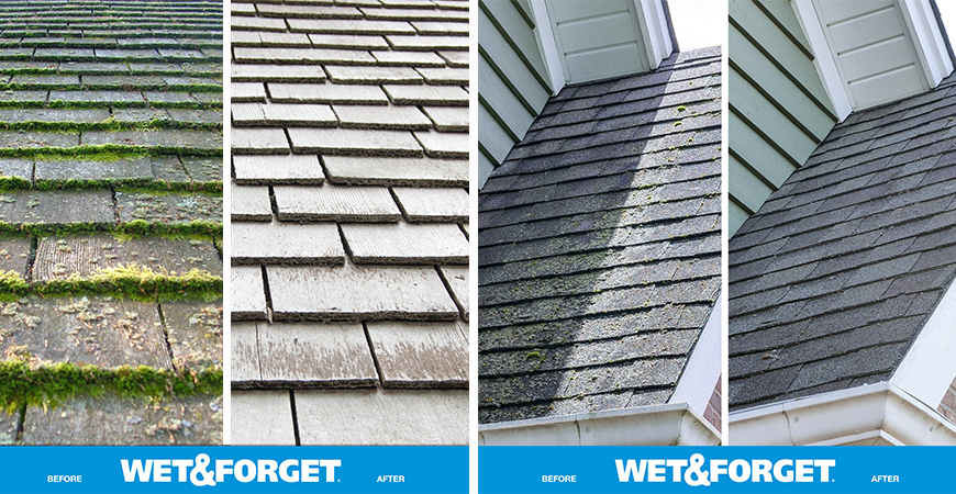 Get rid of moss on your roof with Wet & Forget.