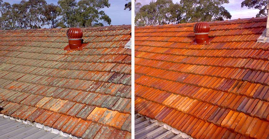 Wet & Forget is a key tool for roof maintenance