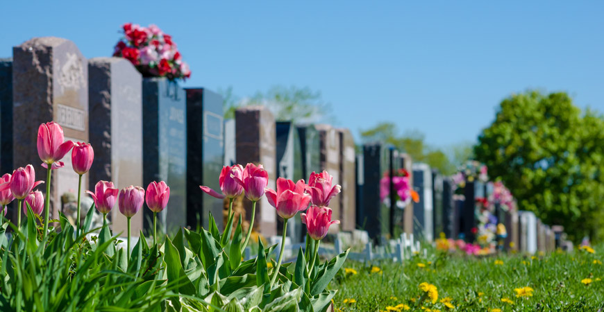 Learning how to clean a headstone is simple with our guide.