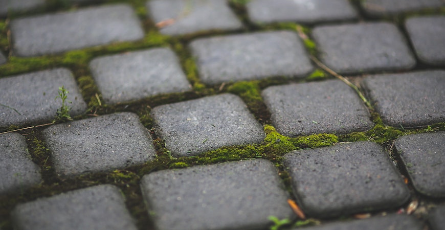 Moss grows between bricks.