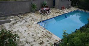 Mold can grow easily on pool decks.
