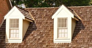 Learn how to clean and care for a cedar shake roof