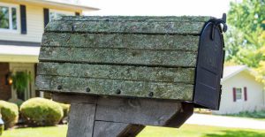 mailbox with lichen
