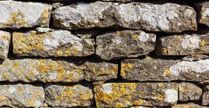 Learn how to remove lichen on stone