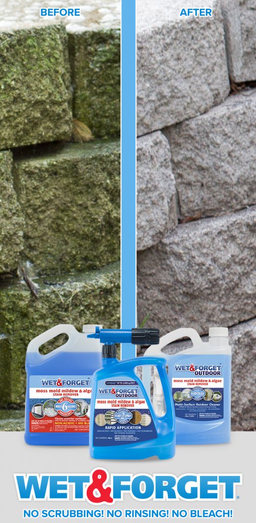 Removing Black & Green Algae Made Easy A HowTo Guide Wet & Blog