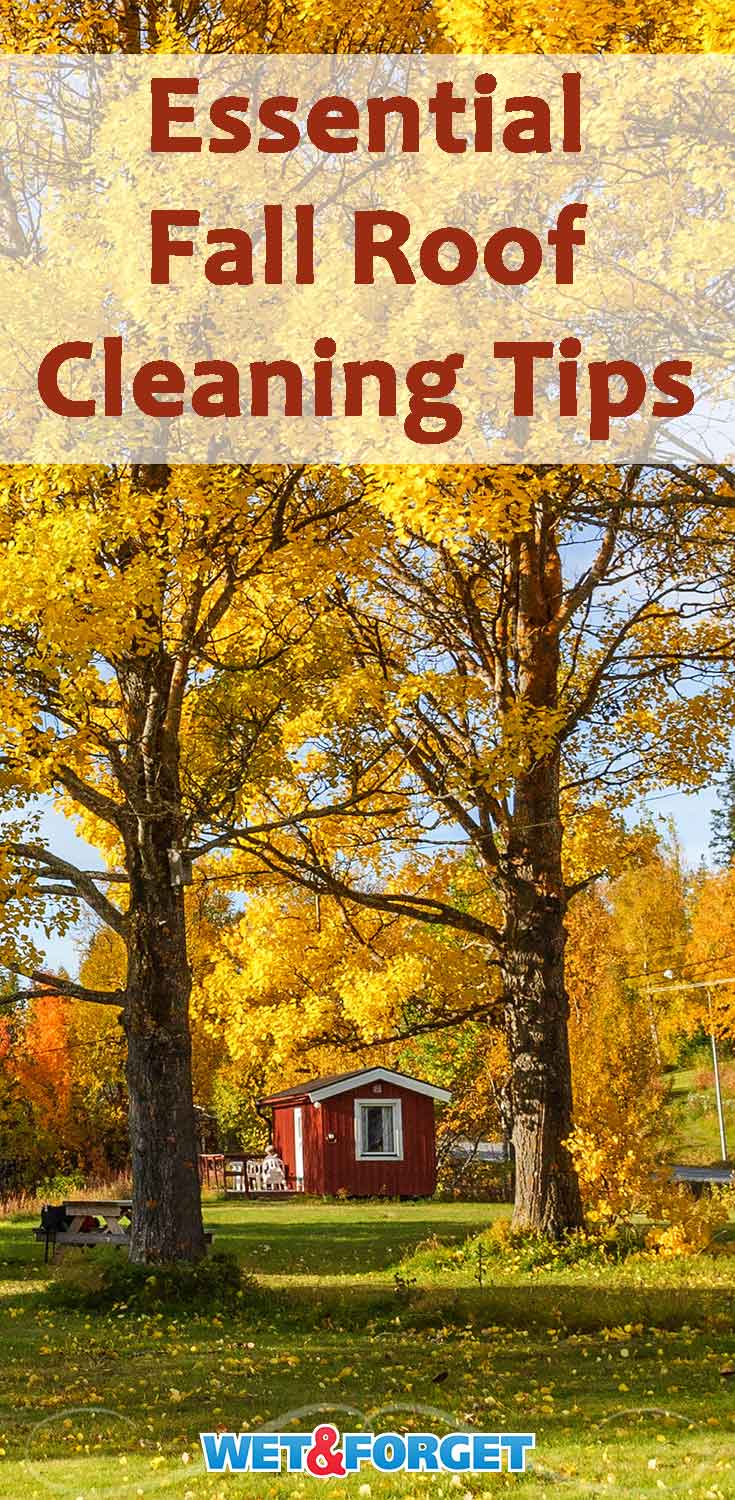 Learn how to clean your roof without any ladders or scrubbing with these helpful tips!