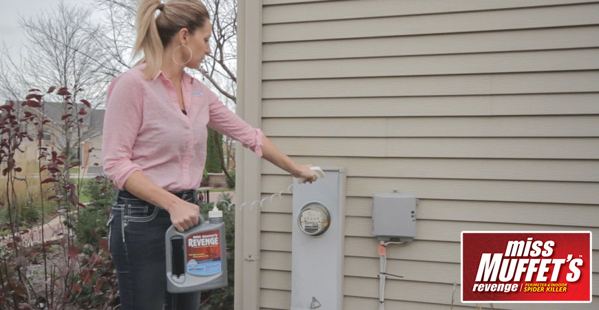 Spray Miss Muffet's Revenge around the perimeter of your home.