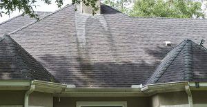 Mold Stains on Roof