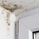 Take care of mold with Wet & Forget Indoor Mold + Mildew Disinfectant Cleaner!