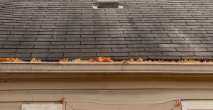 Get rid of black streaks on your roof.