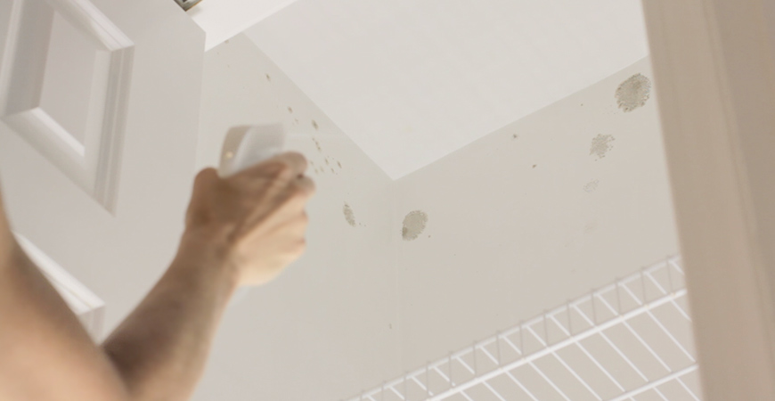 Wipe out mold and mildew and its musty smell with Wet & Forget Indoor