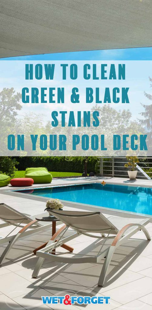 How To Clean a Pool Deck & More with Wet & Wet & Blog