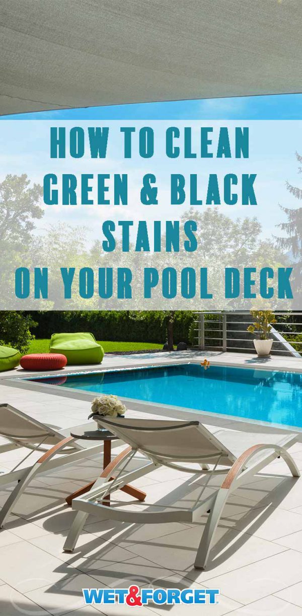 How To Clean a Pool Deck & More with Wet & Wet & Blog