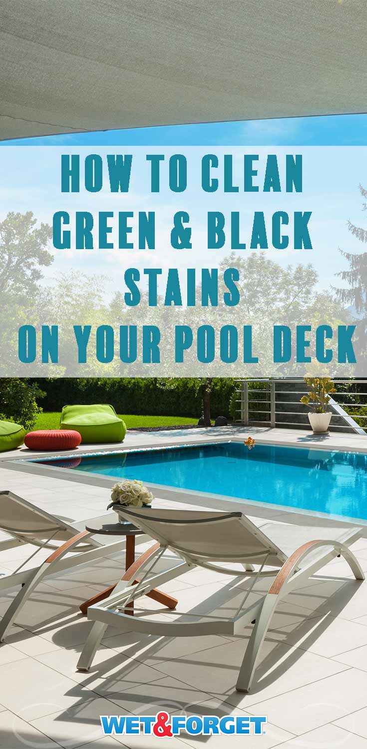 How To Clean a Pool Deck & More with Wet & Wet & Blog