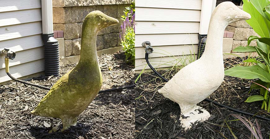 Spray Wet & Forget on your garden statues to clean up green and black algae.