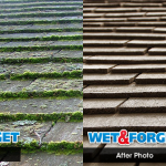 Before and After using Wet & Forget for roof moss