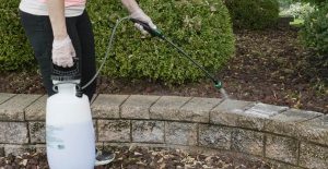 Essential Guide to Cleaning with Wet & Forget Outdoor in Your Climate and  Season - Wet & Forget Blog