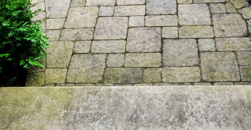 Brick walkway covered with green stains