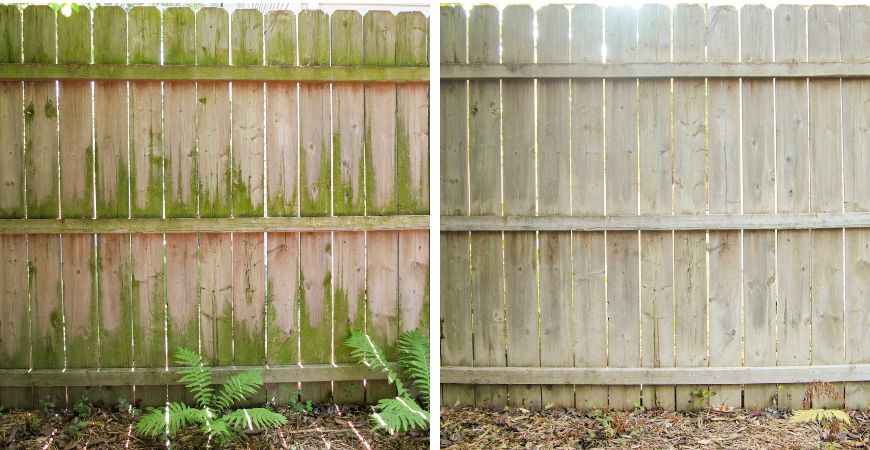 Clean black and green stains on a fence with Wet and Forget.