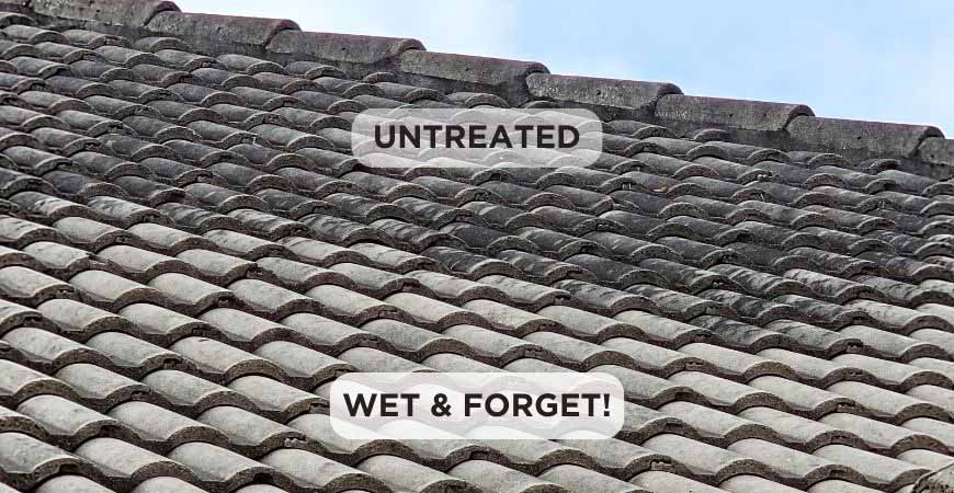 Clean a clay tile roof with Wet and Forget!