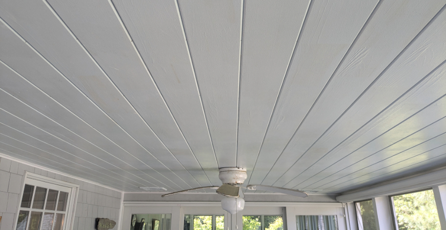 Robert got rid of mold from his porch ceiling with Wet & Forget.