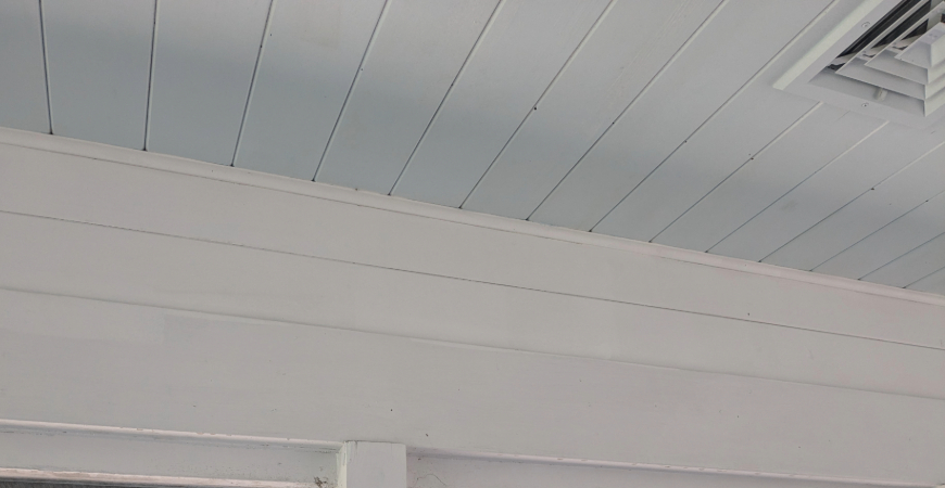 Robert hasn't seen a speck of mold on his ceiling in the months since he's used Wet & Forget.