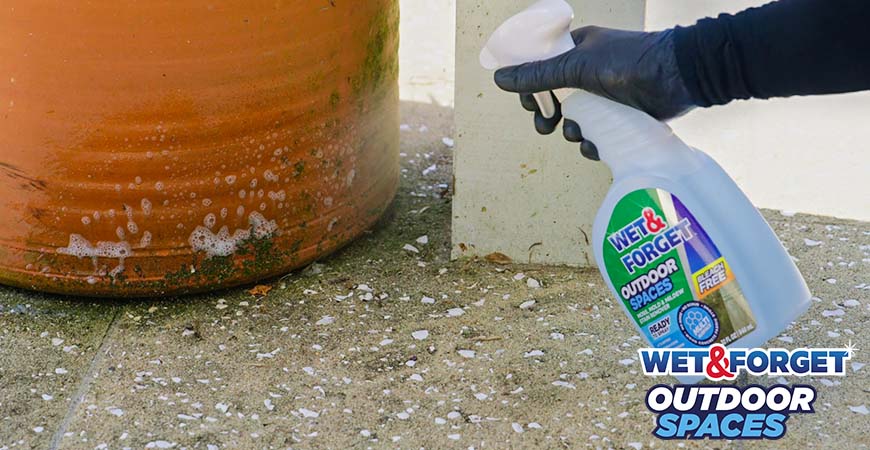 wet and forget outdoor