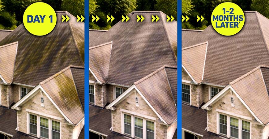 wet and forget roof