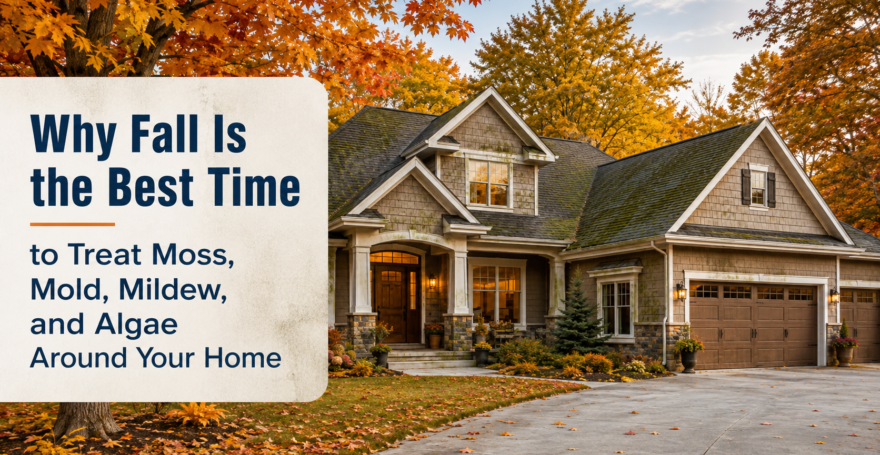 fall home wet and forget cleaner